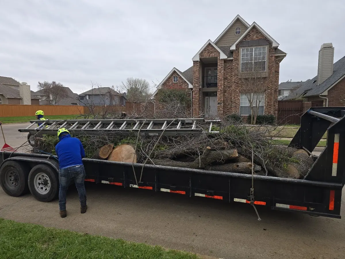 Expert Lot Clearing with proper safety equipment in Wolf Lake